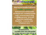 ขออนุญาต-เรื่องการให้บริการน้ำในงานพระยา